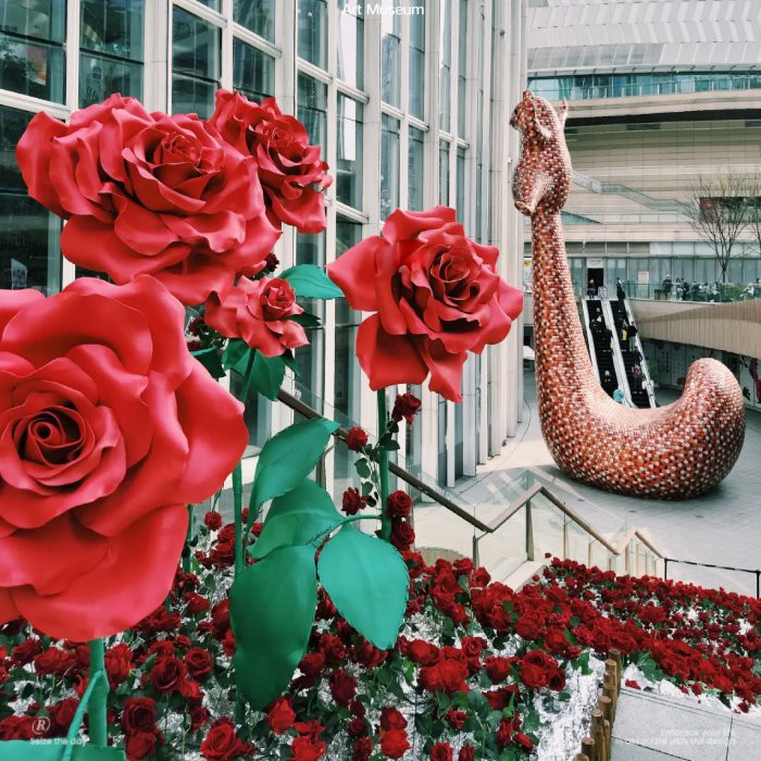 Цветето на дневника на Свети Валентин