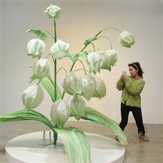 Лили от хартиените цветя на долината